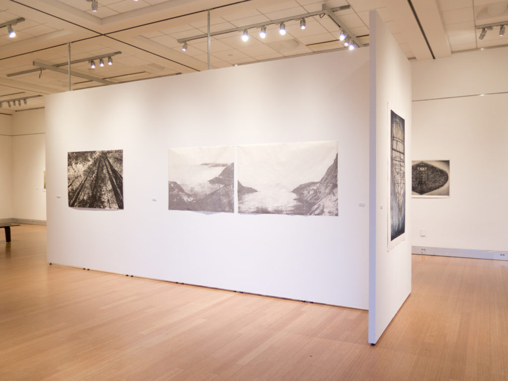 Images of work shown at Santa Rosa, including some from the Located Space series I worked on in 2015